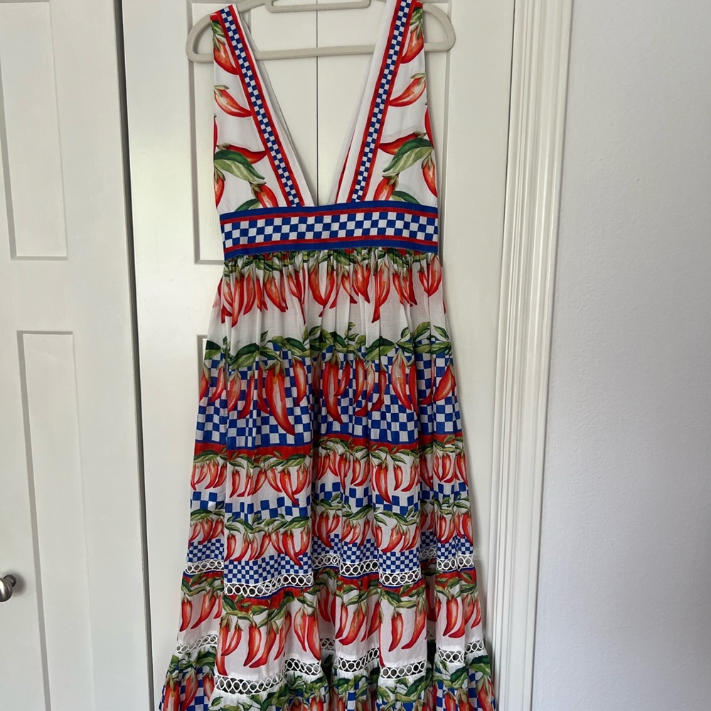 FARM Rio Picnic Peppers Ainika Midi Dress - Picture 11 of 12